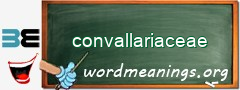 WordMeaning blackboard for convallariaceae